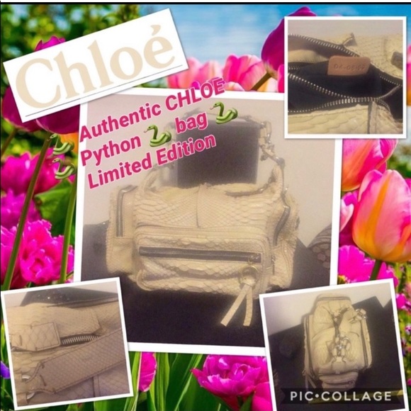 Authentic Vintage CHLOE Large Cream Python Square Betty Bag see certifi… - Picture 10 of 10